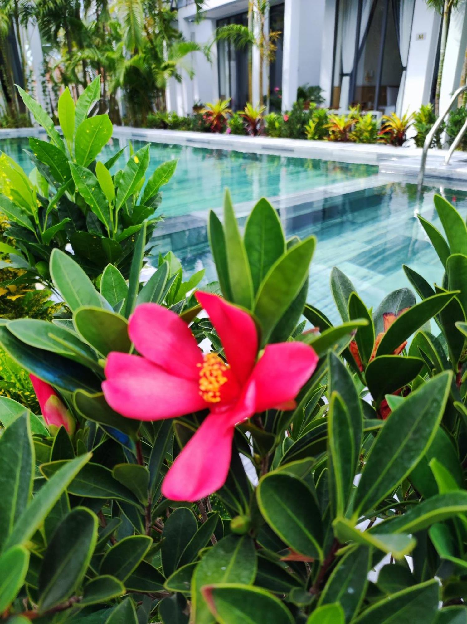 Ngoc Trai Xanh Bungalow フーコック エクステリア 写真