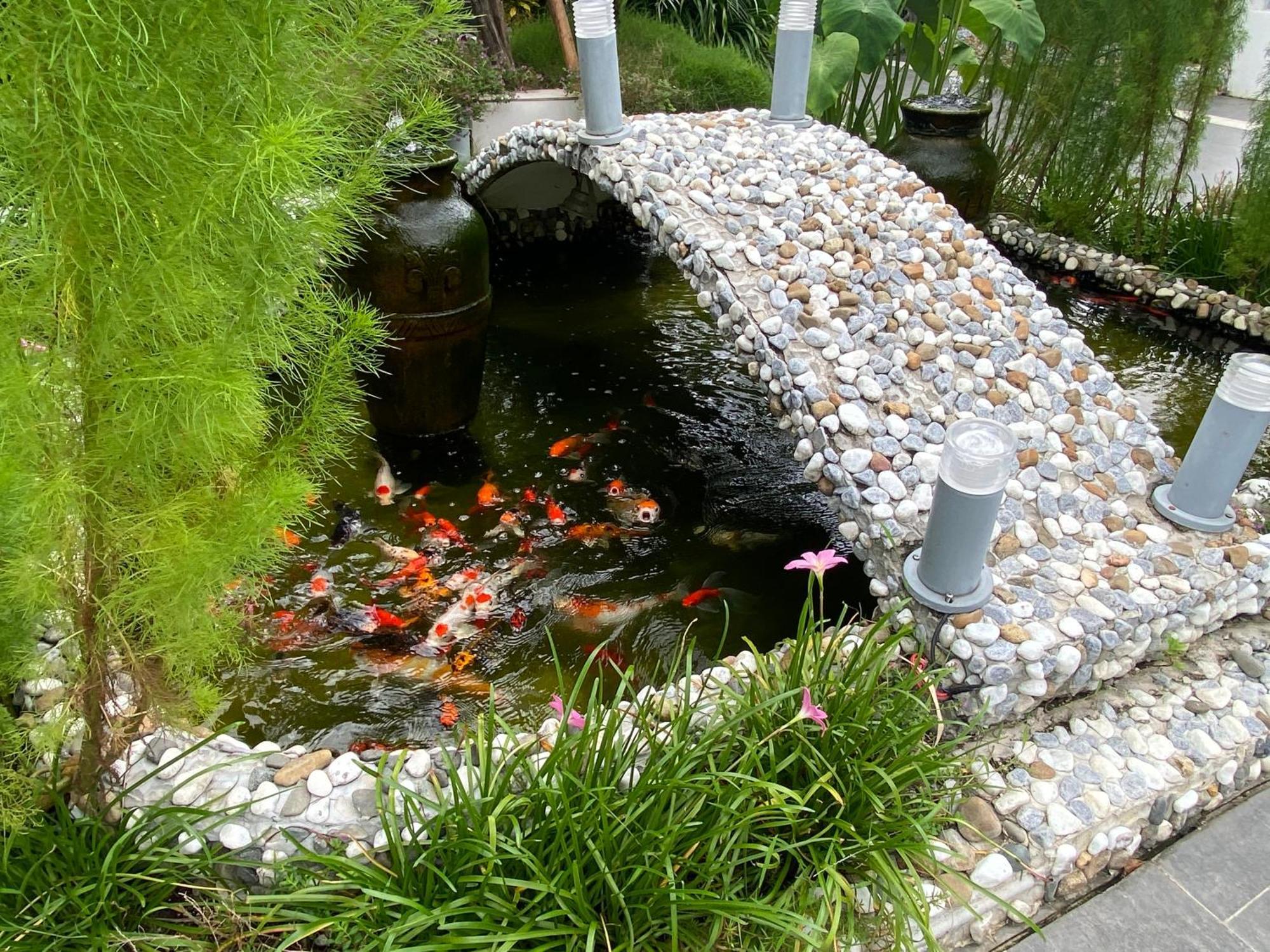Ngoc Trai Xanh Bungalow フーコック エクステリア 写真